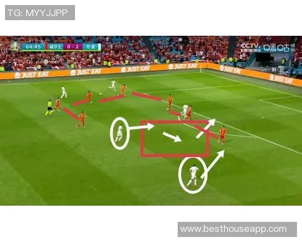 广州排球队阵地战体系探讨与战术创新分析
