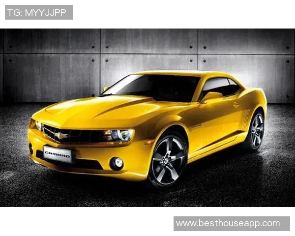 探索大黄蜂足球鞋的独特设计与卓越性能助力球场表现提升