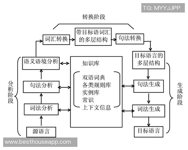 红足足球的崛起与发展历程探讨及其对中国足球未来的影响分析
